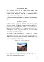 Referāts 'Nedēļas nogale Pravčicka Brana, Čehijā', 6.