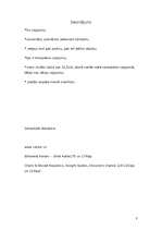 Referāts 'Nedēļas nogale Pravčicka Brana, Čehijā', 8.