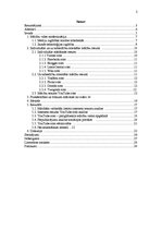 Referāts 'YouTube.com izmantošana mācību procesā Valmieras Pārgaujas ģimnāzijas vidusskola', 2.