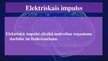 Prezentācija 'Elektrība cilvēkā', 3.