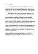 Referāts 'Nodokļu politika Latvijā', 16.