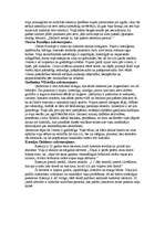 Konspekts 'Eriks Ādamsons "Sava ceļa gājējs"', 2.