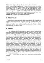 Referāts 'Turcija', 4.