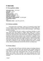 Referāts 'Turcija', 5.