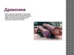 Prezentācija 'Древесина амарант', 3.