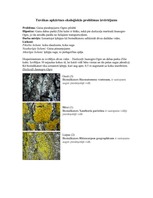 Prakses atskaite 'Ogres apkārtnes ekoloģiskās problēmas izvērtējums', 1.