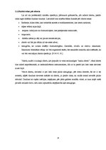 Referāts 'Aborta ietekme uz sievietes organismu', 14.