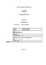 Referāts 'Gaisa baloni', 1.