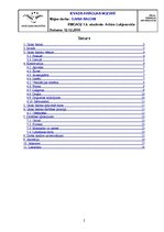 Referāts 'Gaisa baloni', 2.