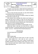 Referāts 'Gaisa baloni', 6.