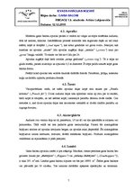 Referāts 'Gaisa baloni', 7.