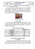 Referāts 'Gaisa baloni', 11.