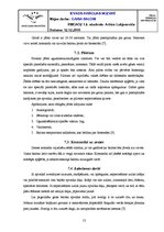 Referāts 'Gaisa baloni', 13.