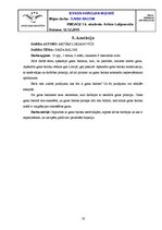 Referāts 'Gaisa baloni', 16.