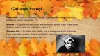Prezentācija '20.gadsimta ārzemju literatūra, G.Garsija Markess "Kritušās lapas"', 5.