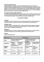 Referāts 'A/s "Espoir" rehabilitācijas centra būvniecība Latvijā', 4.