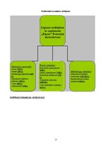 Referāts 'A/s "Espoir" rehabilitācijas centra būvniecība Latvijā', 13.