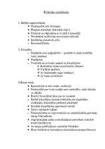 Referāts 'Kā pareizi uzstāties publikas priekšā', 5.