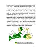 Diplomdarbs 'Cukura rūpniecība Latvijā', 31.