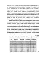 Diplomdarbs 'Cukura rūpniecība Latvijā', 35.