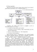 Referāts 'Tirgus izpēte uzņēmumam “No Name”', 6.