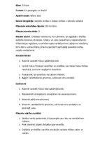 Konspekts 'Mana āda', 1.