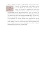 Konspekts 'Etoloģija', 3.