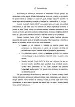 Referāts 'Jauniešu atvērtais centrs "JACis"', 15.