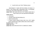 Referāts 'Jauniešu atvērtais centrs "JACis"', 16.