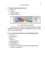 Referāts 'Jauniešu atvērtais centrs "JACis"', 17.