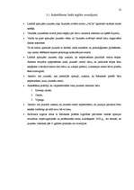 Referāts 'Jauniešu atvērtais centrs "JACis"', 22.