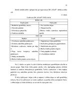 Diplomdarbs 'Atklāšanas pasākuma projekta izstrāde izklaides nozares uzņēmumā', 25.