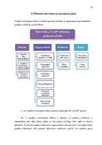 Diplomdarbs 'Atklāšanas pasākuma projekta izstrāde izklaides nozares uzņēmumā', 30.