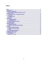 Biznesa plāns 'Botelis "Lielais Kristaps"', 2.