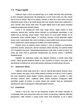 Biznesa plāns 'Botelis "Lielais Kristaps"', 13.