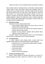 Biznesa plāns 'Botelis "Lielais Kristaps"', 15.