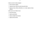 Referāts 'Uzņēmuma “Estrella” finansiālā stāvokļa izvērtēšana', 4.