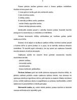 Referāts 'Uzņēmuma “Estrella” finansiālā stāvokļa izvērtēšana', 9.