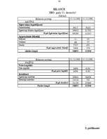 Referāts 'Uzņēmuma “Estrella” finansiālā stāvokļa izvērtēšana', 36.