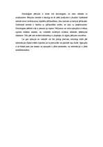 Konspekts 'Ievads socioloģijā', 6.