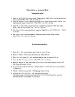 Referāts 'Latvijas pirmie 10 pastāvēšanas gadi 1928. gada kinomateriālos', 10.