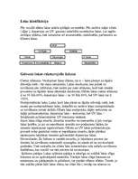 Referāts 'Krāsu nozīme reklāmā', 7.