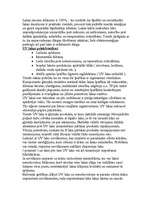 Referāts 'Krāsu nozīme reklāmā', 12.