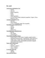 Referāts 'Krāsu nozīme reklāmā', 17.