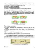 Referāts 'Ceļa konstrukcijas uz kūdras. Nosacījumi un risinājumi', 6.