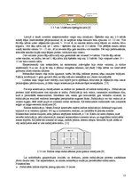 Referāts 'Ceļa konstrukcijas uz kūdras. Nosacījumi un risinājumi', 13.