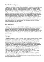 Konspekts 'Rīga', 1.