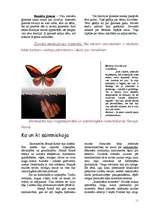 Referāts 'Žurnāls "Senā Roma"', 11.