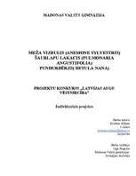 Referāts 'Meža vizbulis, šaurlapu lakacis, pundurbērzs', 1.