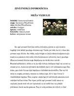 Referāts 'Meža vizbulis, šaurlapu lakacis, pundurbērzs', 4.